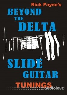 Beyond the Delta Slide Guitar