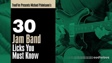 Truefire Michael Palmisano 30 Jam Band Licks You Must Know