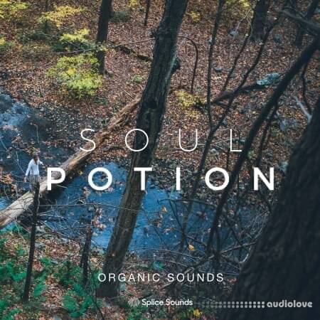 Splice Sounds Soul Potion Organic Sounds