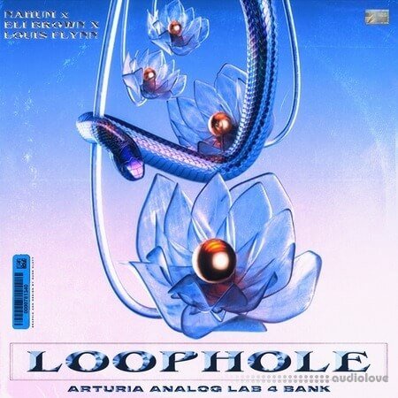 Loophole Arturia Analog Labs 4