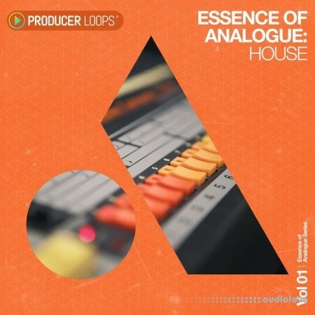 Producer Loops Essence of Analogue Vol.1