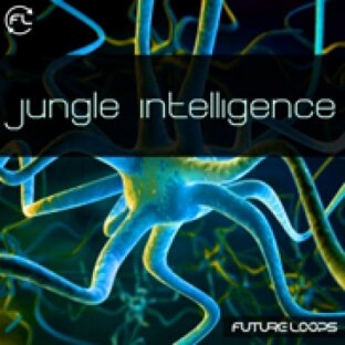 Future Loops Jungle Intelligence