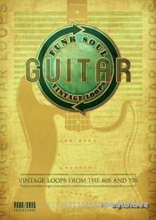 Big Fish Audio Vintage Guitar Loops