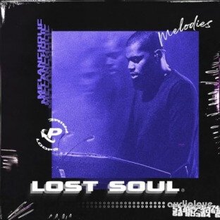 Prime Loops Lost Soul