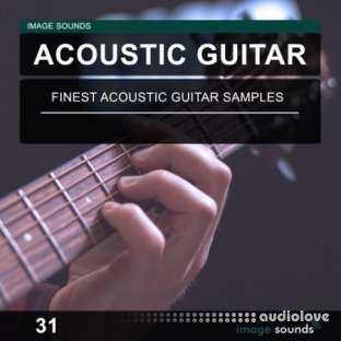 Image Sounds Acoustic Guitar 31