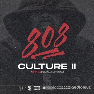 Stve Lawrence 808 Culture 2