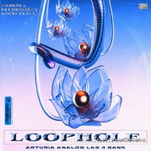 Loophole Arturia Analog Labs 4