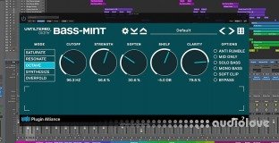 Unfiltered Audio Bass Mint