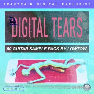 TrakTrain Digital Tears by LOWTOW