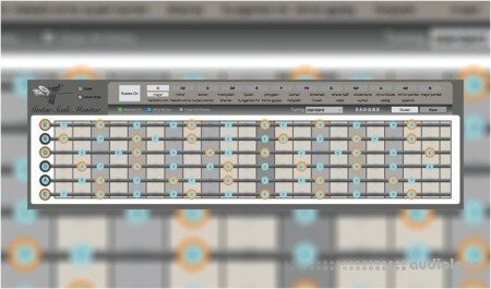 Soundmanufacture Guitar Scale Monitor