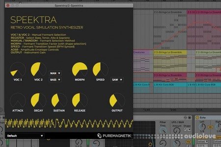 Puremagnetik Speektra