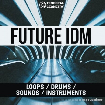 Temporal Geometry Future IDM