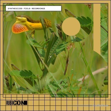 Rubicon Synthesized Field Recordings