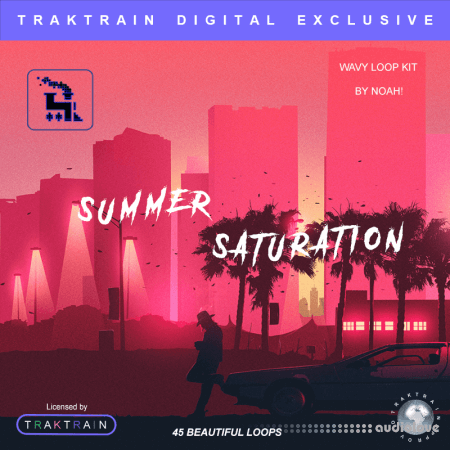 TrakTrain Summer Saturation Kit by Kazoo