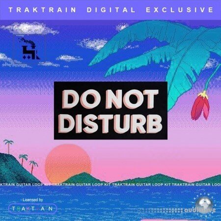 TrakTrain Do Not Disturb Guitar Loop Kit