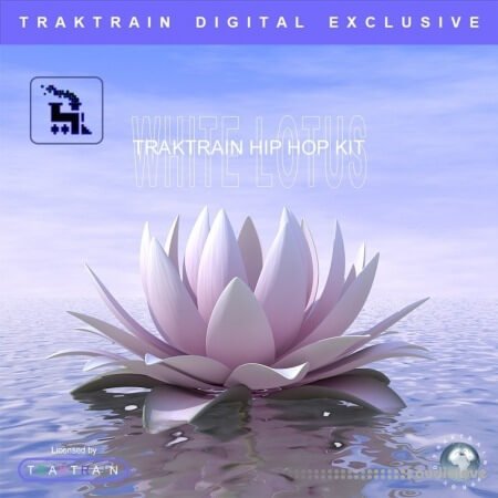 Traktrain White Lotus Hip Hop Kit