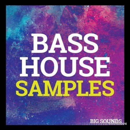 Big Sounds Bass House Samples