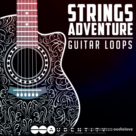 Audentity Records Strings Adventure