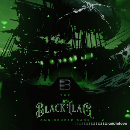 Brandon Chapa Black Flag