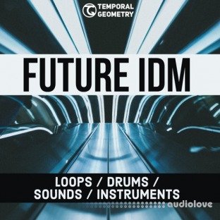 Temporal Geometry Future IDM