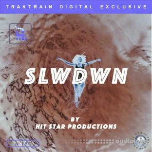 TrakTrain Traktrain Flawless Drum Kit SLWDWN