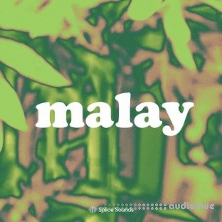 Splice Sounds Malay Sample Pack