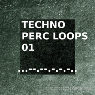 SQNCD Sounds Techno Perc Loops 01