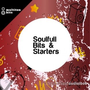 Multiton Bits Soulful Bits and Starters