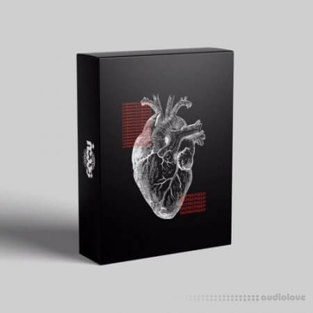 Seezy Coldhearted DrumKit