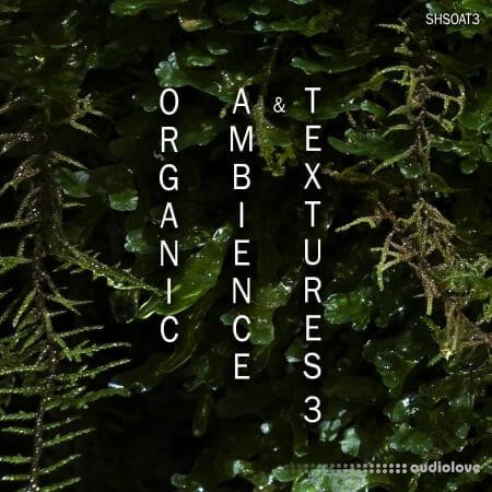 ShamanStems Organic Ambience and Textures 3