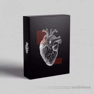 Seezy Coldhearted DrumKit