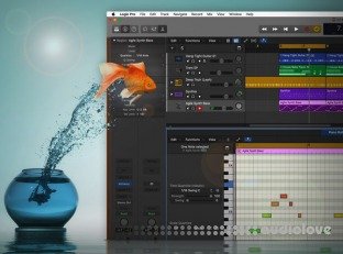 Groove3 Logic Pro Jump Start