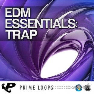 Prime Loops EDM Essentials Trap