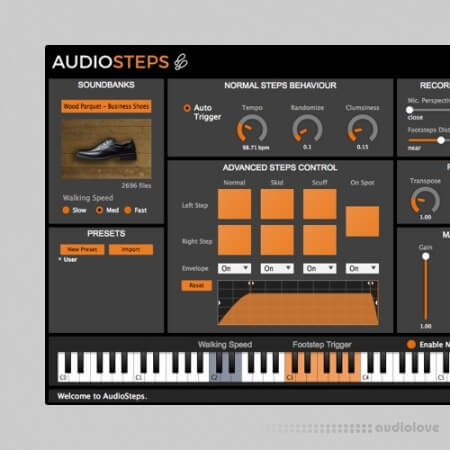 LeSound AudioSteps Pro Databanks