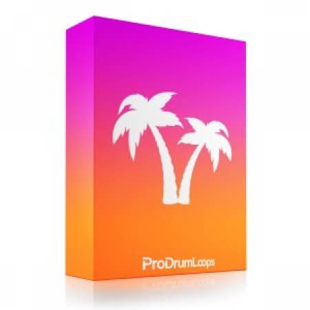 ProDrumLoops Tropical House Drum Loops Kit Vol.1