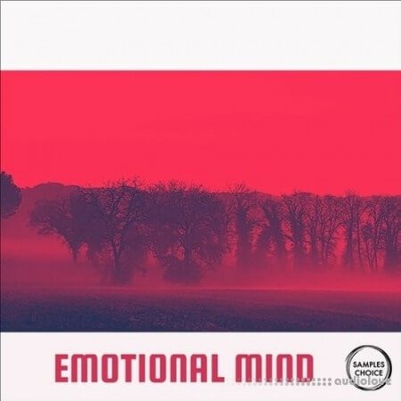 Samples Choice Emotional Mind