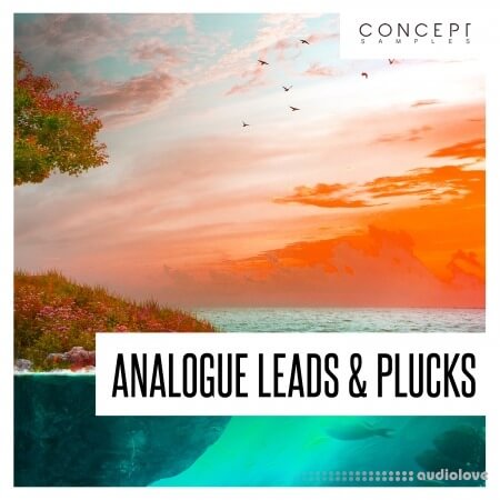 Concept Samples Analogue Leads and Plucks