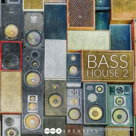 Audentity Records Bass House Vol.2