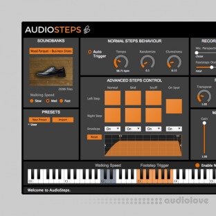 LeSound AudioSteps Pro Databanks