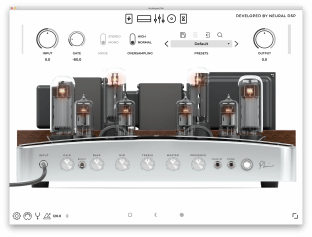 Neural DSP Archetype Plini