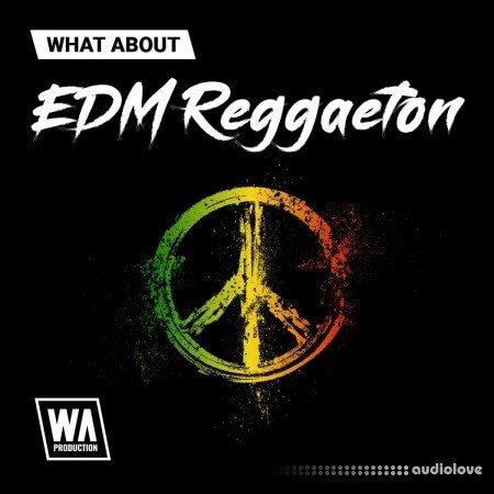 WA Production EDM Reggaeton