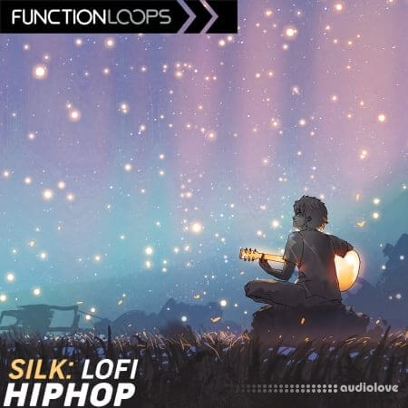 Function Loops Silk Lofi Hip Hop