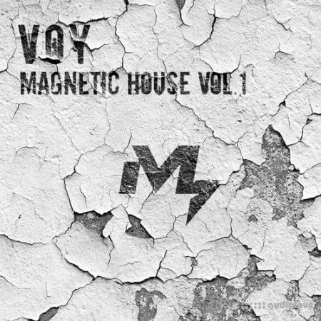 Sample Market VOY Magnetic House Vol.1