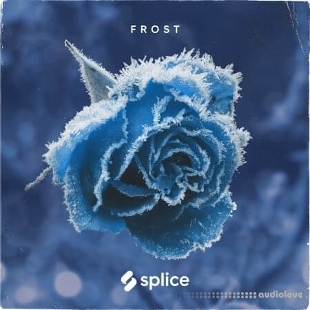 Splice Originals Frost February RnB