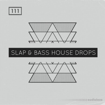 Bingoshakerz Slap and Bass House Drops