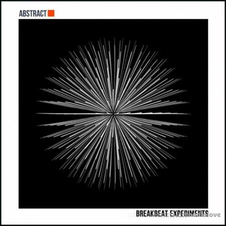 Sample Market Abstract Breakbeat Experiments