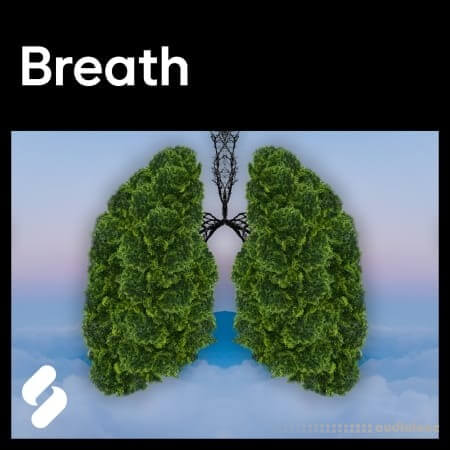 Splice Explores Breath