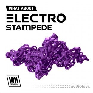 WA Production Electro Stampede