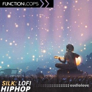 Function Loops Silk Lofi Hip Hop