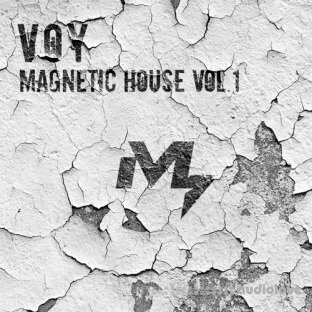 Sample Market VOY Magnetic House Vol.1